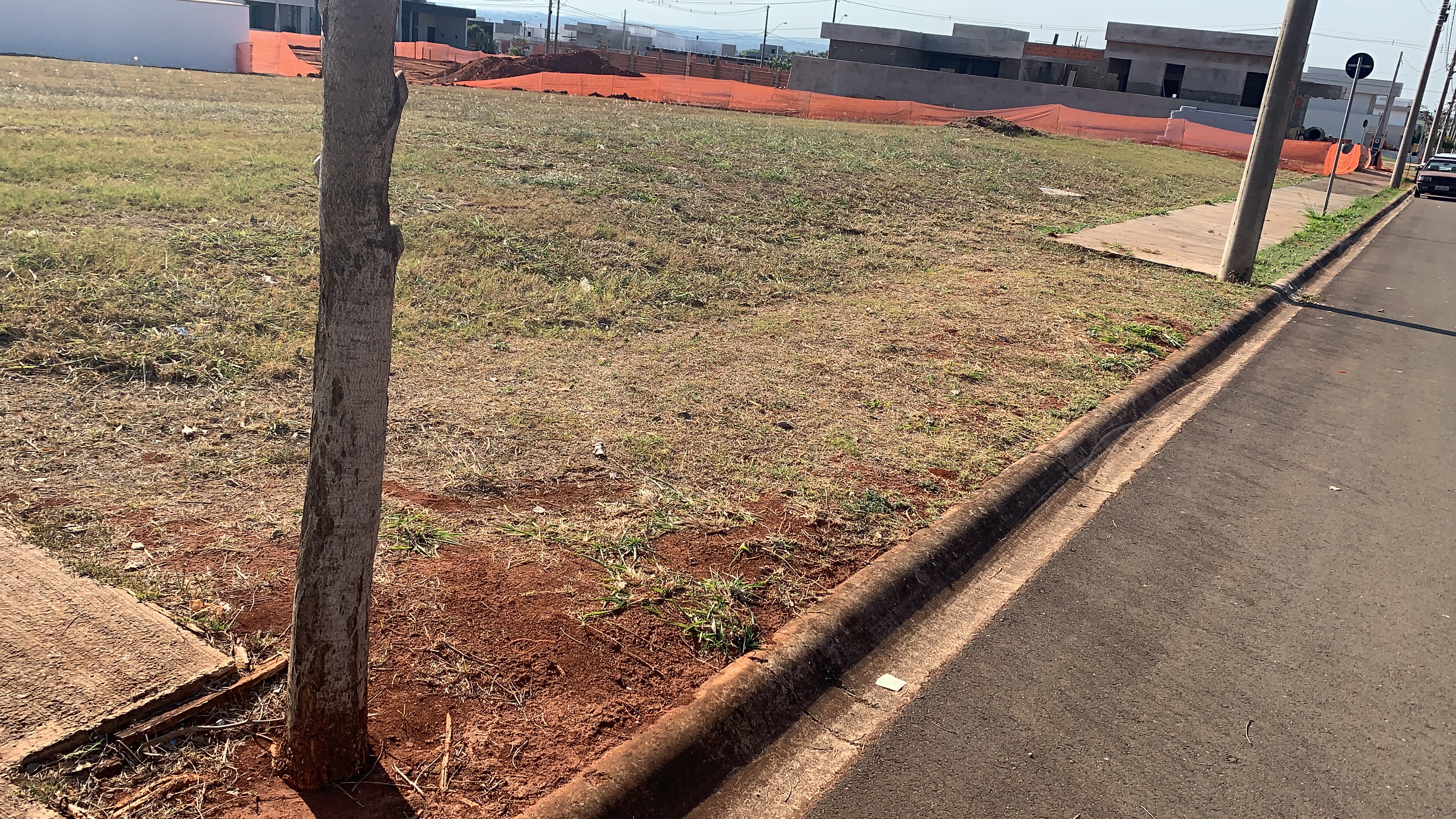 REFORMA DE GUIAS DE CONCRETO EM PRAÇA PÚBLICA - foto 5